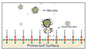 invisible microbiostatic coating