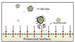 BioProtect Graphic resized 600