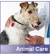  animalcare