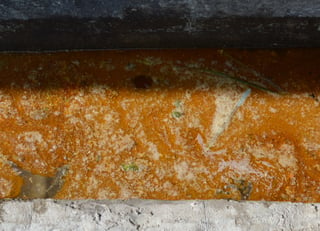 grease trap cleaner, grease trap treatment, biological grease trap care