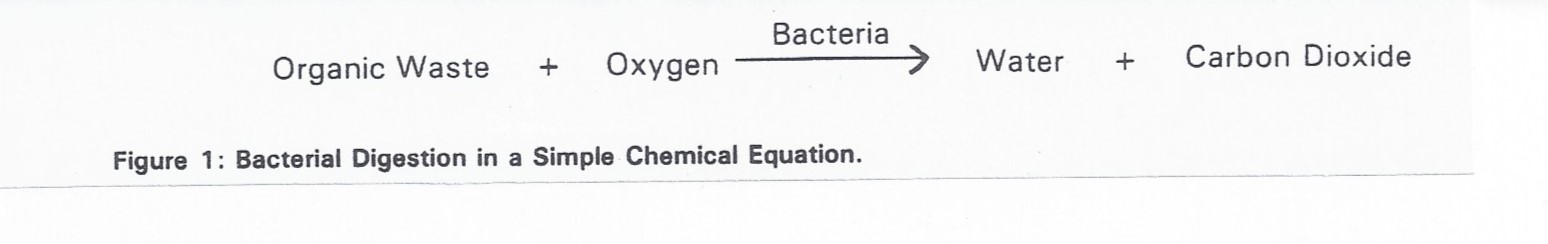 Chemex 630 bacterial digestant