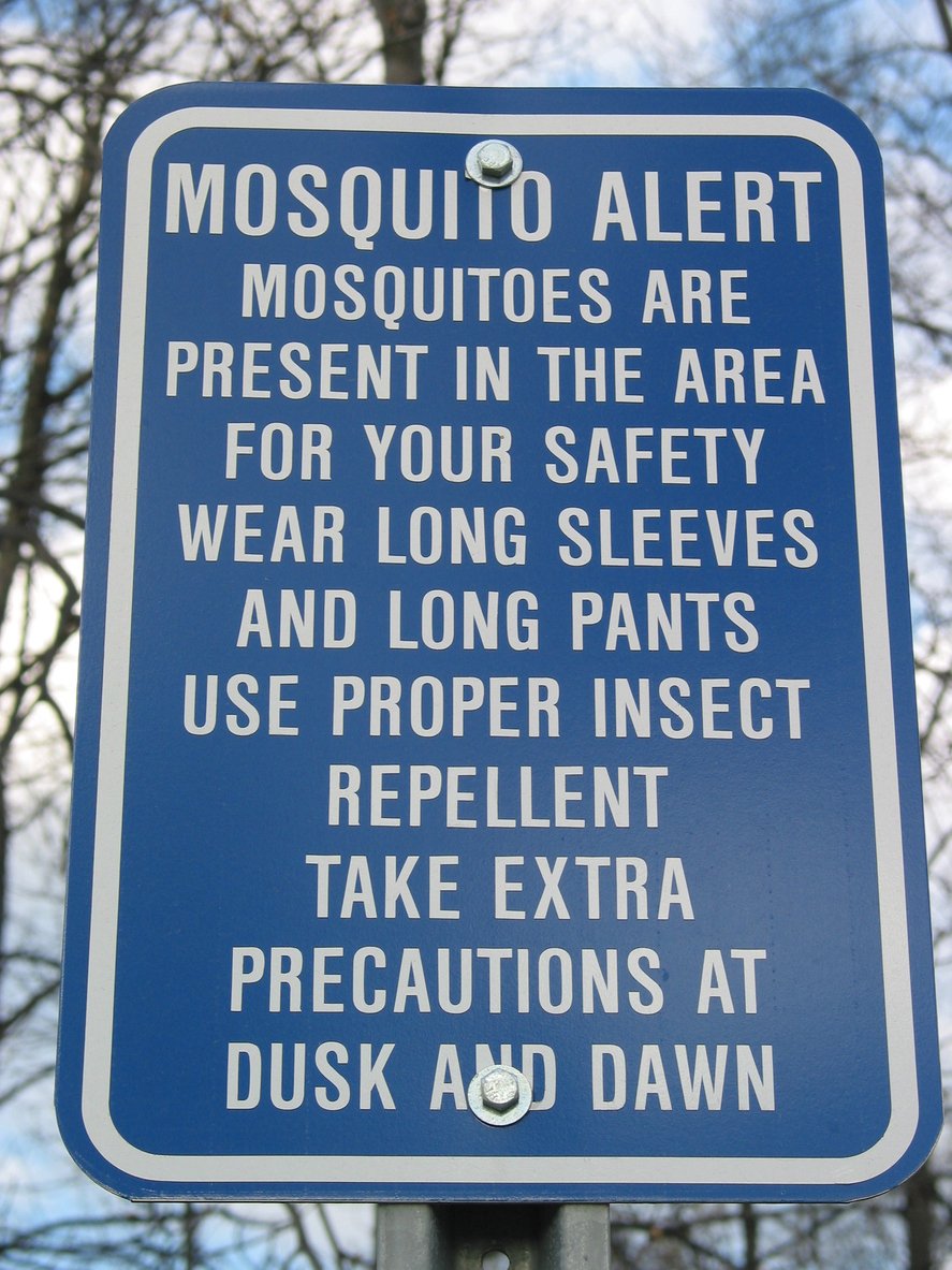 Bug Ban Plus Insect Repellent
