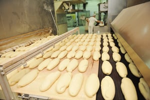 white food grade grease for food processing