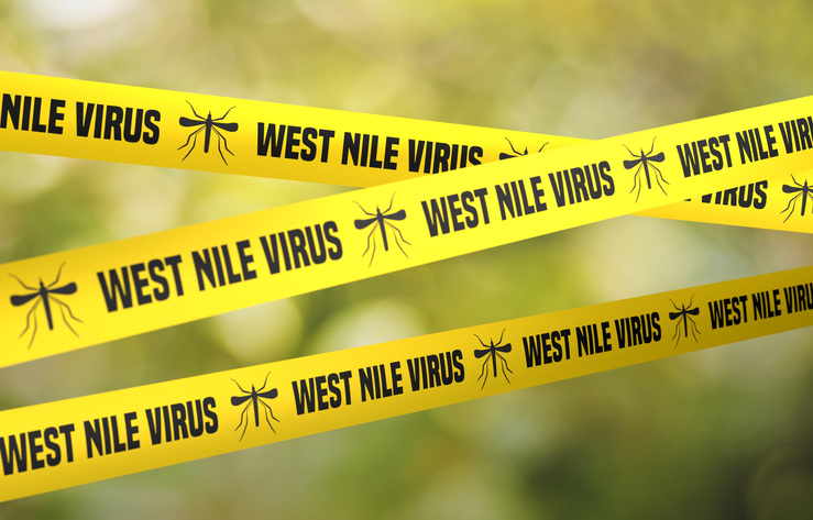 West Nile Virus Image