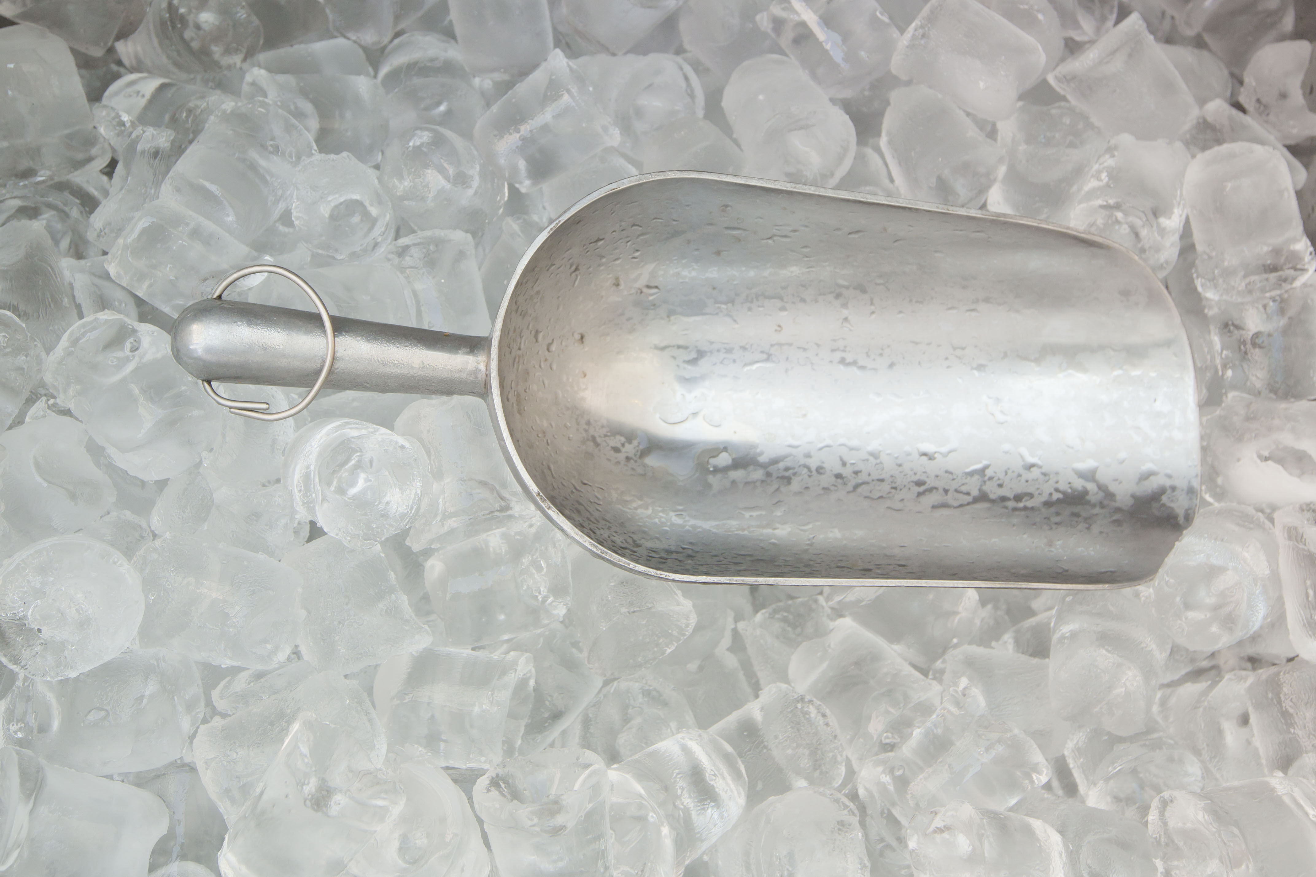 Everyday Tip : Use an Ice Scoop - Clean Mama